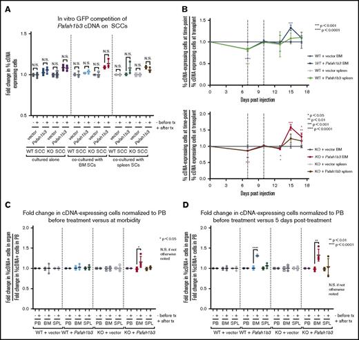 Figure 4. Changes to Pafah1b3 levels alter distribution of leukemia cells in vivo after dasatinib therapy. (A) Scatterplots showing fold change in cDNA-expressing cells on either Pafah1b3 WT or KO backgrounds before and after dasatinib treatment (1 nM for 3 days) in vitro when BCR-ABL+ BCP-ALL cells are cultured alone, with BM–derived stromal cells, or with SPL-derived stromal cells. − indicates fold change before treatment (pre/plating); + indicates fold change after treatment (post/pre). Fold changes are normalized to an empty vector control from the same culture condition and SCC. (B) Plots showing the fold change in Pafah1b3 cDNA-expressing cells, as compared with percentage of cDNA-expressing cells at transplant, over time in the BM and SPL on both Pafah1b3 WT (top) and Pafah1b3 KO (bottom) backgrounds over the course of dasatinib treatment (20 mg/kg, 3 days q.d. starting 7 days postinjection of 106 BCR-ABL1+ BCP-ALL cells; vertical gray lines indicate time period when dasatinib is present). Asterisks denoting significance are color-matched to the organs; changes are not significant if not otherwise noted. (C-D) Scatterplots show relative enrichment of Pafah1b3 cDNA-expressing cells, or cells expressing an empty vector control, on a Pafah1b3 WT or KO background from transplant to the start of treatment (pre/transplant) vs relative enrichment from (C) transplant to morbidity (morbidity/transplant) or (D) transplant to 5 days posttreatment (5 days post/transplant) from GFP competition assays shown in panel B in PB, BM, and SPL. − indicates fold change before treatment; + indicates fold change after treatment. Fold changes are normalized to empty vector control from the same organ and SCC. Relative enrichment is defined as the fold change of percentage of cDNA+ cells in each organ normalized to the fold change of percentage of cDNA+ cells in the blood of the same mouse. For all panels, values are an average of at least 3 mice per genotype at each time point. Individual mice are used for each time point. GFP competition assays are performed as described in “Methods”/supplemental Figure 6, except for timing of treatment as detailed here. Error bars represent standard deviation; P values were calculated using the Student t test.