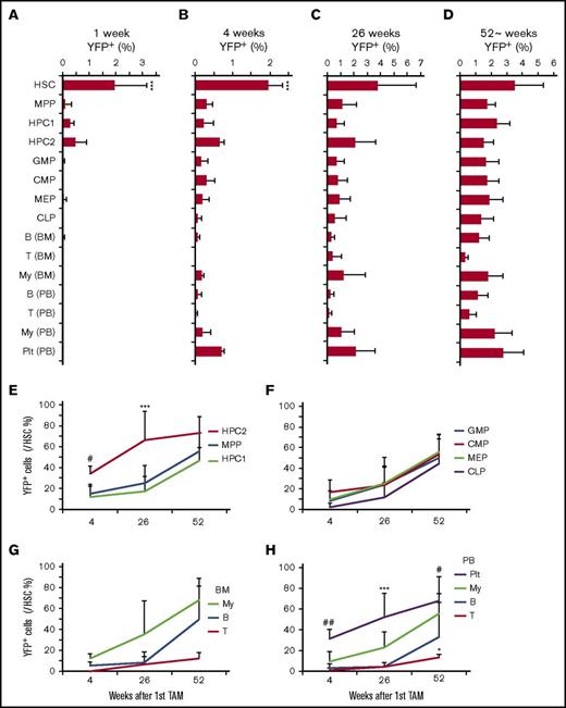Figure 3. HSCs labeled by Krt18-CreER contribute to steady-state hematopoiesis. (A-D) Longitudinal analysis of YFP+ fraction in the indicated populations at 1 (A), 4 (B), 26 (C), and ∼52 (D) weeks after tamoxifen treatment (n = 4-6). (E-F) Frequencies of YFP+ cells in each population relative to HSCs. (E) Frequencies of YFP+ cells within the LSK fraction relative to HSCs. (F) Relative frequencies of YFP+ myeloid and lymphoid progenitor cells relative to HSCs. Relative YFP+ frequencies of mature myeloid cells (My), B-cells (B), and T cells (T) to HSCs in the bone marrow (BM) (G) and peripheral blood (H). All data represent mean ± standard deviation. In panels A-D, *P < .05, **P < .01, and ***P < .001 (1-way ANOVA with post hoc Tukey’s multiple comparison test against all other groups). In panels E-H, *P < .05, **P < .01, and ***P < .001 (2-way ANOVA with post hoc Tukey’s multiple comparison test against all other groups). #P < .05, ##P < .01 (post hoc Tukey’s multiple comparison test between HSCs and MPP/HPC1) in panel E and between platelets (Plt) and B/T cells in panel H.