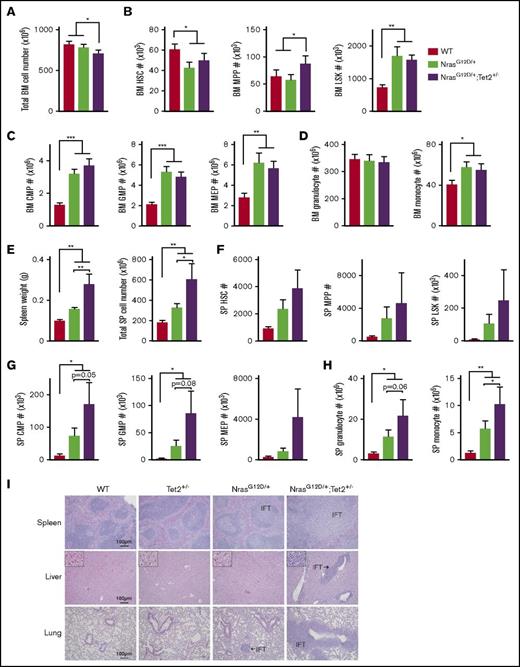 Figure 2. Steady-state hematopoietic differentiation in 6-month-old mice. (A) Total cellularity in the BM. (B-D) Absolute numbers of HSCs, MPPs, and LSKs (B); CMPs, GMPs, and MEPs (C); and mature granulocytes and monocytes (D) in the BM. (E) Spleen (SP) weight (g) and total cellularity. (F-H) Absolute numbers of HSCs, MPPs, and LSKs (F); CMPs, GMPs, and MEPs (G); and mature granulocytes and monocytes (H) in the SP. (I) Hematoxylin and eosin staining of SP, liver, and lung sections from different groups. IFT of neoplastic cells is indicated. The absolute numbers of BM cells were calculated using an established formula that estimates that 1 femur and 1 tibiae contain 7.5% of total nucleated BM cells. Data represent mean ± standard error of the mean. One-tailed Student t tests were used to assess statistical significance. *P ≤ .05, **P ≤ .01, ***P ≤ .001.