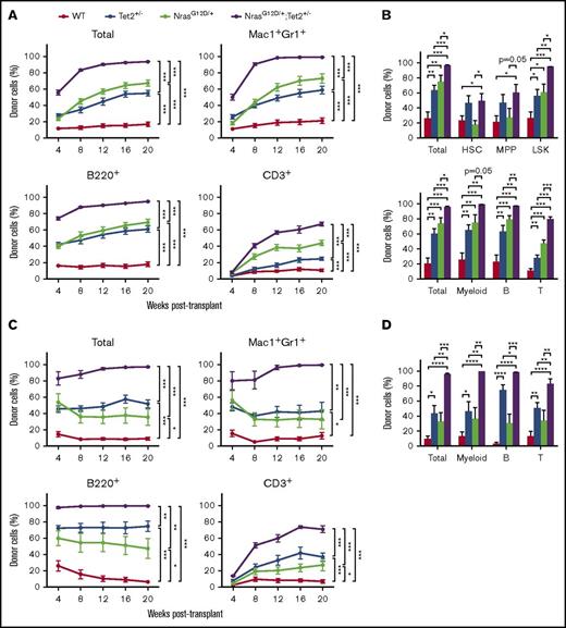 Figure 3. N-RasG12D and Tet2 haploinsufficiency collaborate to enhance HSC competitiveness and self-renewal. (A) Donor (CD45.2) BM cells (5 × 105) from Mx1-Cre/NrasG12D/+, Mx1-Cre/Tet2+/−, Mx1-Cre/NrasG12D/+/Tet2+/−, and littermate control mice at 2 weeks after poly (I:C) treatment (n = 3 donors per genotype) were transplanted into lethally irradiated recipient (CD45.1) mice (n = 15 recipients per genotype) along with 1.5 × 106 recipient BM cells. Donor-cell reconstitution in total nucleated cells and myeloid (Mac1+Gr1low and Mac1+Gr1+) and B- (B220+) and T-cell (CD3+) lineages was assessed in peripheral blood for 4 to 20 weeks after transplantation. (B) BM percentages of donor-derived HSCs (CD150+CD48−LSK), MPPs (CD150−CD48−LSK), and LSKs (Lin−Sca1+c-Kit+) and donor-derived myeloid (Mac1+Gr1low and Mac1+Gr1+) and B- (B220+) and T-cell (CD3+) lineages in primary transplant recipients (n = 8 per genotype). (C) Secondary transplantation (n = 10 recipients per genotype) of 3 × 106 BM cells from primary recipient mice in panel A (n = 2 donors per genotype). Donor-cell reconstitution in total nucleated cells and myeloid and B- and T-cell lineages was assessed. (D) Donor-derived myeloid and B- and T-cell lineages in the BM of secondary recipient mice (n = 9 per genotype). Data represent mean ± standard error of the mean. Two-tailed Student t tests were used to assess statistical significance. *P ≤ .05, **P ≤ .01, ***P ≤ .001.