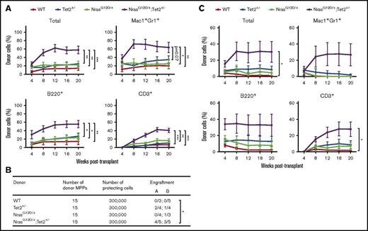 Figure 4. Purified HSCs and MPPs from NrasG12D/+/Tet2+/−mice gain enhanced competitiveness and self-renewal. (A) Fifteen donor (CD45.2) HSCs (CD150+CD48−LSK) from NrasG12D/+, Tet2+/−, NrasG12D/+/Tet2+/−, and littermate control mice (n = 2 donors per genotype) were transplanted into lethally irradiated recipient (CD45.1) mice (n = 10 recipients per genotype) along with 3 × 105 recipient BM cells. Donor-cell reconstitution in total nucleated cells and myeloid and B- and T-cell lineages was assessed in peripheral blood after transplantation. (B) Fifteen donor (CD45.2) MPPs (CD150−CD48−LSK) were transplanted into lethally irradiated recipient (CD45.1) mice (n = 10 recipients per genotype) along with 3 × 105 recipient BM cells. The number of recipient mice with long-term engraftment from 2 separate rounds of transplantation is shown for each genotype. (C) Donor-cell reconstitution was assessed in peripheral blood from mice in panel B. Data represent mean ± standard error of the mean. Two-tailed Student t tests were used to assess statistical significance. *P ≤ .05, **P ≤ .01, ***P ≤ .001.