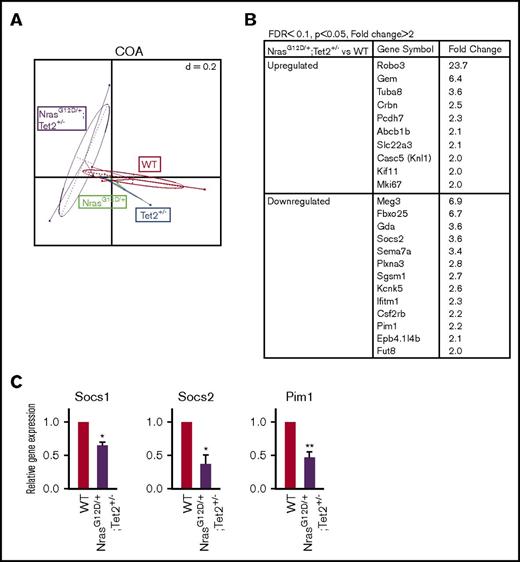 Figure 6. Analysis of differential gene expression in NrasG12D/+/Tet2+/−HSCs by RNA sequencing. (A) Clustering of differential genes by unsupervised correspondence analysis (COA). (B) List of the top-ranking upregulated and downregulated genes in NrasG12D/+/Tet2+/− vs WT HSCs with a fold change of >2 and false discovery rate (FDR) of <0.1 (P < .05). (C) Quantitative real-time reverse transcription polymerase chain reaction of negative regulators of JAK/STAT signaling in NrasG12D/+/Tet2+/− and WT HSCs from mice 2 weeks post–poly (I:C). Data represent mean ± standard error of the mean. Two-tailed Student t tests were used to assess statistical significance. *P ≤ .05, **P ≤ .01.