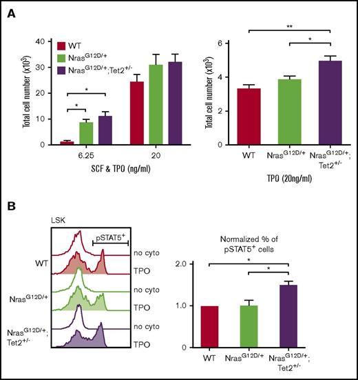 Figure 7. N-RasG12D and Tet2+/−collaborate to enhance cytokine response in HSPCs. (A) Total number of cells generated from 100 FACS-sorted HSCs after a 10-day culture (left) or from 500 HSCs after a 6-day culture (right) with SCF and/or TPO (n = 3). (B) Phosphorylated FACS analysis of STAT5 activation in LSKs. Whole BM cells were starved at 37°C for 30 minutes and then stimulated with TPO (6.25 ng/mL) for 15 minutes. The percentage of phosphorylated STAT5+ cells within the mutant LSK compartment was normalized to that of WT. Data represent mean ± standard error of the mean. Two-tailed Student t tests were used to assess statistical significance. *P ≤ .05, **P ≤ .01.