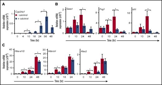 Figure 6. Gene expression changes in response to activation of Vdr. Linneg cKit+CD71lo/neg cells were cultured for 2 days under progenitor conditions (PM) and then transferred to maturation conditions (MM) with or without calcitriol. Total RNA was isolated at the indicated times and analyzed (3.3 ng), using real-time RT-PCR. Expression was normalized to Ubb. (A) Expression of the Vdr target gene Cyp24a1. (B) Expression of the erythroid transcription factor genes Gata1, Fog1, and Klf1. (C) Expression of α- and β-like globins and Alas2. n > 4 experiments. Data were analyzed using a 2-way ANOVA (*P < .05). Error bars, ± SEM.