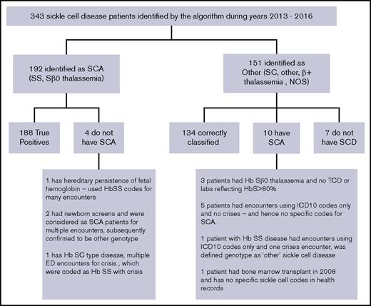 Figure 3. Classification of genotype of patients with SCD.