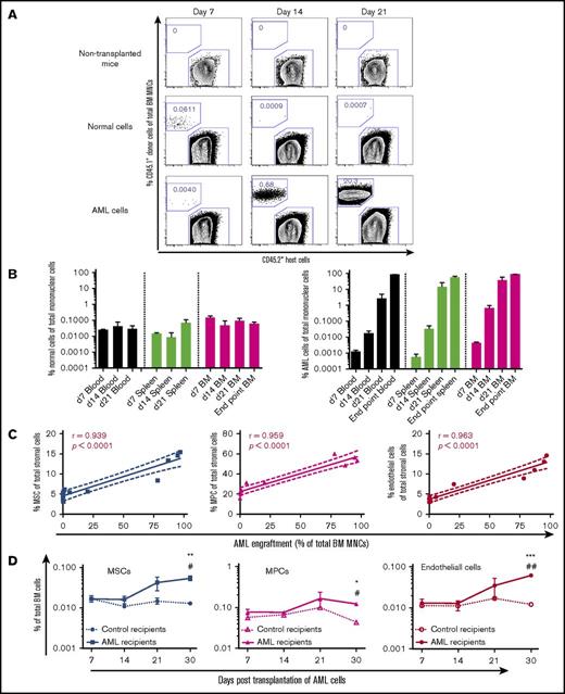 Figure 2. Kinetics of BM engraftment of MLL-AF9+AML cells and its impact on BM stromal cells after transplantation. (A) Representative FACS profile showing the engraftment of normal BM KIT+ hematopoietic progenitors and MLL-AF9+ AML cells at different time points posttransplantation. (B) Engraftment kinetics of normal BM KIT+ hematopoietic progenitors and MLL-AF9+ AML cells posttransplantation. Data represent mean ± standard error of the mean from 3 to 4 mice per group per time point. (C) Correlation between BM stromal cell frequencies and AML cell engraftment posttransplantation of MLL-AF9 AML cells. (D) Kinetics of BM cellular niche alterations during development of AML. MLL-AF9 AML cells and BM stromal cell subsets were analyzed in parallel at days 7, 14, 21, and 30 after transplantation of AML cells. Statistical analysis was performed by 2-way analysis of variance analysis with multiple comparisons. *P < .05, **P < .01, and ***P < .001 compared with the control mice. #P < .05 and ##P < .01 to determine the time-related difference in stromal cell frequency. Data represent mean ± standard error of the mean from 3 to 5 mice per group per time point from 3 independent experiments.