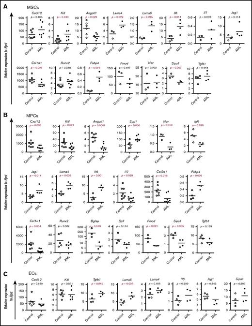 Figure 4. Altered gene expression in AML BM stromal cells. Gene expression analysis was done by qPCR on freshly FACS-sorted BM SCA1+CD51+ MSCs, SCA1−CD51+ MPCs, and CD31+ ECs after AML development. Data are presented as mean values of duplicate or triplicate qPCR measurements from 3 to 5 independent sorting experiments. (A) Relative messenger RNA (mRNA) expression of HSC niche genes and mesenchymal lineage-associated genes in MSCs. (B) Relative expression of HSC niche genes and mesenchymal lineage–associated genes in MPCs. (C) Relative expression of HSC niche genes in CD31+ ECs. Differences were determined using an unpaired parametric Student t test or Mann-Whitney U test. Horizontal bars represent mean values.