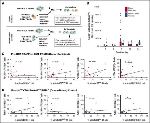 Figure 2. Results from a novel ex vivo assay of the effects of NK and CD8+ T-cell responses on HIV laboratory-infected pre-HCT recipient and post-HCT donor-origin CD4+ T cells. (A) A schema of our assay to determine the effects of allogeneic HSCT on HIV reactivation and effector cell activation and responses is shown. Pre- and post-SCT PBMC were obtained from 30 HIV-uninfected individuals, followed by establishment of latent HIV infection ex vivo in recipient or engrafted donor CD4+ T cells. Post-HSCT donor-derived PBMC were then coincubated with HIV-infected recipient pre-SCT (allogeneic experiments) and donor-derived post-SCT CD4+ T cells (autologous control experiments). (B) An increase in the percent of HIV-reactivated (GFP expressing) proliferating pre-HCT recipient CD4+ T cells was observed in several participant samples following 7 days of coculture (N = 30). Outlier values are shown as individual points on the box plots otherwise representing median and quartile values. Correlations between activated (CD38+/HLA-DR+) donor CD8+ T, NK, and CD3+CD56+ cells and HIV-iGFP–expressing laboratory infected CD4+ T cells on day 7 are shown in panels C (experiments using infected recipient CD4+ T cells and PBMCs following donor cell engraftment) and D (control experiments using infected post-HCT engrafted CD4+ T cells of donor origin), respectively. Significant correlations between NK and CD3+CD56+ cells were identified only in the pre-HCT CD4/post-HCT PBMC experiments, whereas only activated CD8+ T cells correlated with HIV-iGFP expression in the post-HCT CD4/post-HCT PBMC control experiments. Dashed lines represent linear regression and P values were obtained using non-parametric Spearman rank correlation analyses.