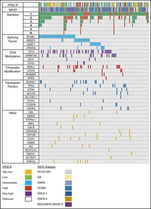 Figure 3. Mutational analysis. Graphic representation of number of samples analyzed for each patient (N = 112) and mutations observed in the first sample analyzed. Green box, sample on whom TED profile was obtained; red box, the sample was adequate but no cells were found undergoing TED. Each column represents 1 unique patient. Although for some patients, every sample analyzed at different time points showed TED, there were others who failed to show cells in TED at every point analyzed; there were some samples that failed to show cells in TED at 1 or more point. Colored boxes colored according to their functional group in mutation panels show presence of mutation in that gene and patient. Splicing factor mutations were more common followed by DNA methylation. Bottom, color codes for the IPSSR and WHO categories.
