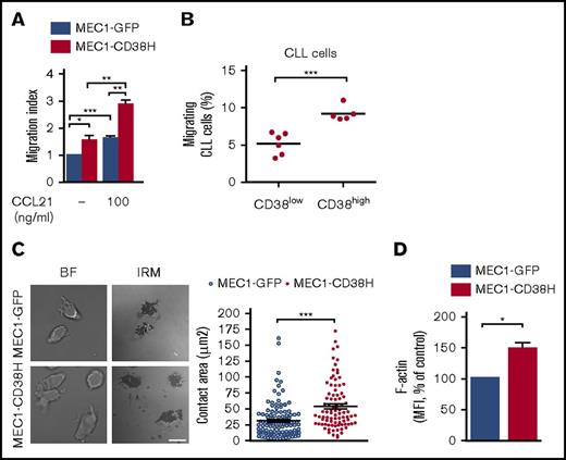 Figure 1. CD38 expression increases CLL cell migration and cell spreading. (A) MEC1-GFP and MEC1-CD38H cells were added to VCAM-1-coated transwell filters in the absence or presence of 100 ng/mL CCL21 in the bottom chamber. The migration index was obtained by normalizing the values to the MEC1-GFP control cells. Data shown are the mean of 3 independent experiments ± SEM. (B) Peripheral blood mononuclear cells from 11 patients with CLL were added to VCAM-1-coated transwell filters; values represent the percentage of CD19+ migrated cells divided by the total number of CD19+ cells added to the filter. Horizontal bars indicate mean values of migrating cells for CD38low (n = 6) and CD38high (n = 5) CLL samples. (C) Representative images of fixed cells and quantification of the cell attachment area (μm2) of MEC1-GFP and MEC1-CD38H cells seeded on VCAM-1 (n ≥ 100 cells per population from 3 independent experiments). Scale bar, 10 μm. (D) MEC1-GFP and MEC1-CD38H cells were stained with Alexa Fluor 647–conjugated phalloidin and analyzed by flow cytometry. Values were obtained by normalizing the median fluorescent intensity to the MEC1-GFP control cells. Data shown are the mean of 5 independent experiments ± SEM. Horizontal bars indicate mean values ± SEM. *P < .05; **P < .01; *** P < .001 determined by 2-tailed Student t test. BF, bright field; IRM, interference reflection microscopy.