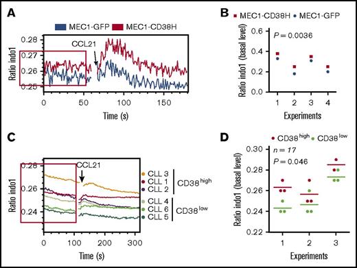 Figure 3. CD38 expression is associated with elevated basal Ca2+ levels. MEC1-GFP, MEC1-CD38H, and primary CLL cells with varying CD38 expression levels (n = 17 patient samples, analyzed in 3 independent experiments) were incubated with the ratiometric Ca2+ indicator Indo-1 and analyzed by flow cytometry. The basal fluorescence level was recorded for 60 seconds before stimulation with CCL21 (100 ng/mL) for a further 120 seconds. (A,C) Representative bivariate plot of the median of fluorescent intensity ratio (Indo-1 emission wavelengths: 420/510 nm) against time; red boxes indicate the basal fluorescence level. (B,D) Peak values of the median basal fluorescence intensity were obtained using FlowJo Kinetic statistic tool. Horizontal bars in panel D indicate mean values of the fluorescence intensity peak calculated in each experiment for CD38low (green) and CD38high (red) samples. Significant differences between the 2 experimental groups were determined using a 2-tailed Student t test.