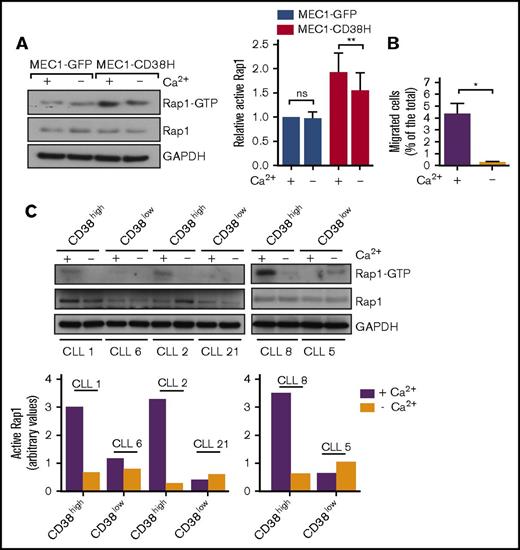 Figure 4. Elevated Rap1 activity and migration in CD38-expressing CLL cells is linked to intracellular basal Ca2+. Cells were depleted of intracellular Ca2+, as indicated (Methods). (A) Rap1 activity assays. Representative western blot (left) and quantification (right) of basal active Rap1 in MEC1-GFP and MEC1-CD38H cells. Relative active Rap1 levels were obtained by normalizing each value to the MEC1-GFP control cells. Graph shows the mean of 3 independent experiments ± SEM. *P < .05; **P < .01 determined by 2-tailed Student t test. (B) Migration of MEC1-CD38H cells through transwell filters after calcium depletion. Values represent the percentage of migrated cells divided by the total number of cells added to the filter. Data shown are the mean of 3 independent experiments ± SEM. *P < .05 determined by 2-tailed Student t test. (C) Western blot (top) and quantification (bottom) of basal active Rap1 in primary CLL cells with varying CD38 expression levels (n = 6 CLL patient samples). ns, not significant.