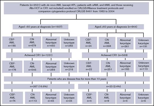Figure 1. Overview of AML patients enrolled on the CALGB 8461 cytogenetic study and receiving chemotherapy-based treatment on successive CALGB trials. Abnormal karyotype indicates other abnormal karyotypes (excluding CBF-AML); unknown karyotype (due to inadequate mitoses). APL, acute promyelocytic leukemia; CALGB, Cancer and Leukemia Group B; CBF, core-binding factor; CN, cytogenetically normal; sAML, secondary AML; tAML, therapy-related AML.