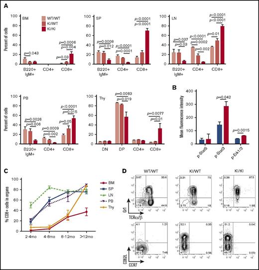 Figure 2. Jak3KI/KI mice develop a CTCL-like CD8+ lymphoproliferative disorder in vivo. (A) Histogram plots presenting the percent of lymphoid cells populations (B220+/IgM+, CD4+/CD8– and CD8+/CD4–) in the bone marrow, spleen, thymus, lymph node, and peripheral blood (PB) (7 to 13 mice per group; 6- to 14-month-old mice). Double-negative (DN) (CD4–/CD8–) and double-positive (DP) (CD4+/CD8+) thymocytes are also depicted. (B) Histogram plots showing the mean ± SEM of p-Stat5; p-Stat3, and p-Erk in spleen cells (CD8+). P values are indicated (Student t test). (C) Evolution of the CD8+ population in PB, BM, SM, Thy, and LN of Jak3KI/KI over time (4 to 8 mice per group). (D) Representative FACS plots describing the TCRα/β+Gr1+ and CD62L/CCR7 phenotype of the CD8+ population in spleen cells of 8-month-old mice.