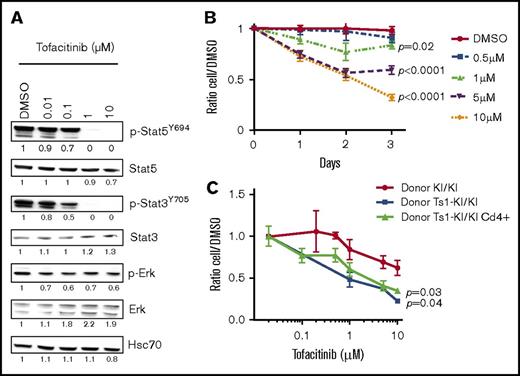 Figure 5. Jak3KI/KI T cells are sensitive to the JAK3 inhibitor tofacitinib. (A) Representative western blot showing the efficacy of a 6-hour treatment with tofacitinib on Jak3KI/KI splenocytes. Representative values of band intensity relative to DMSO are indicated. (B) Dose-response curves of tofacitinib treatment over 3 days for KI/KI cell survival in vitro. Data are mean ± SEM. P values are shown (Student t test). (C) Comparison of the sensitivity of CTCL-like Jak3KI/KI, Ts1Rhr-Jak3KI/KI, CD4+ Ts1Rhr-Jak3KI/KI, and T-ALL Ts1Rhr-Jak3KI/KI to tofacitinib treatment. Mean ± SEM from 2 to 5 mice per group (each in triplicates) is indicated. P values are indicated.