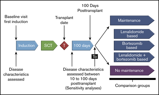 Study design. Patients in cohort 1 who received induction therapy and ASCT were included and analyzed by first-line post-ASCT maintenance therapy. The exploratory analysis was performed on groups with adequate sample sizes (lenalidomide maintenance therapy and no maintenance therapy). SCT, stem cell transplantation.