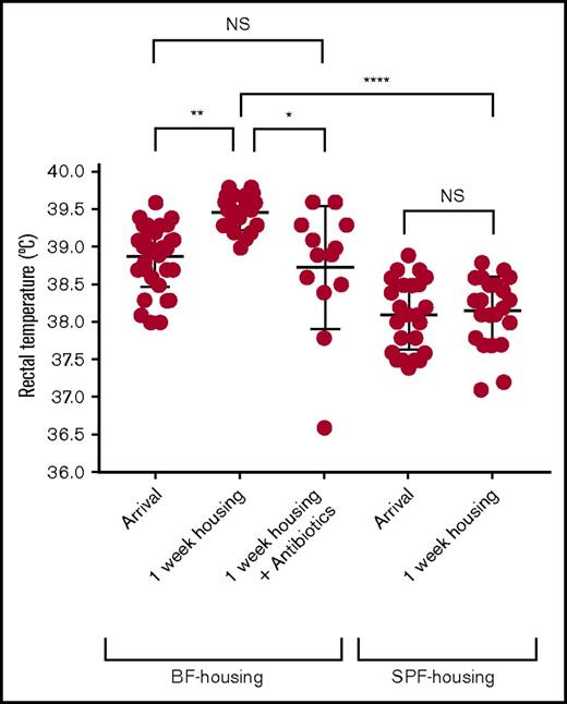 Figure 1. Rectal temperatures are increased in BF mice compared with SPF mice and BF mice with antibiotics-induced gut flora depletion. Rectal temperatures of C57BL/6 mice upon arrival and after 1 week of housing in a BF or SPF environment. BF-housed mice that were housed for a week were also subsequently treated with broad spectrum antibiotics for a week. For the statistical analyses, only significant comparisons of interest are shown. Statistical analysis was performed with a 1-way analysis of variance (ANOVA) with Dunn multiple comparison’s test. Each dot represents 1 mouse; error bars represent standard deviation (SD). Figure shows combinatorial data from 3 experiments. *P < .05, **P < .01, ****P < .0001. NS, nonsignificant.