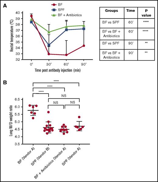 Figure 2. SPF and BF mice with antibiotics-induced gut flora depletion are protected from antibody-mediated TRALI. (A) Rectal temperatures, (B) lung W/D weight ratios upon CD4+ T-cell depletion, and anti-MHC class I antibody (clones 34-1-2s and AF6-88.5.5.3) infusion into indicated mouse groups. Vendor A and B indicate 2 vendors for laboratory mice. For the statistical analyses, only significant comparisons of interest are shown. Statistical analysis was performed with 1-way ANOVA with a Tukey post hoc test at 60 and at 90 minutes, as depicted in the accompanying table in panel A and 1-way ANOVA with a Tukey’s post hoc test (B). Data are based on 5, 13, and 10 mice per time point for BF, SPF, and BF antibiotic mice, respectively. (B) Each dot represents 1 mouse; error bars represent SD. Figure represents combinatorial data from 3 experiments. **P < .01, ****P < .0001.