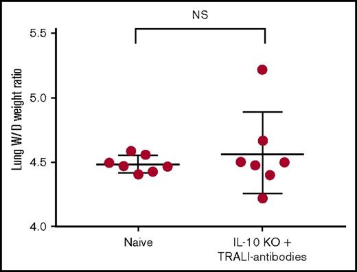 Figure 4. SPF IL-10 KO mice are protected from antibody-mediated TRALI. Lung W/D weight ratios upon anti-MHC class I antibody (clones 34-1-2s and AF6-88.5.5.3) infusion into IL-10 KO mice. IL-10 KO status was confirmed by performing an IL-10 ELISA using collected plasma, as described in the “Methods.” Statistical analysis was performed using an unpaired Student t test. Each dot represents 1 mouse. Figure shows combinatorial data from 2 experiments.