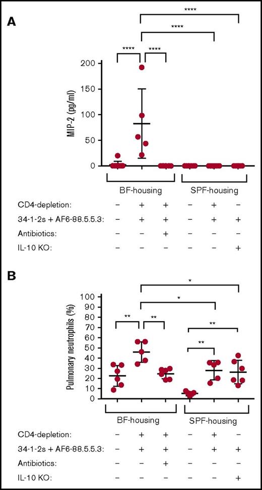 Figure 5. Protection from TRALI is associated with decreased levels of plasma MIP-2 and decreased pulmonary PMN in both SPF and BF mice with antibiotic-induced gut flora depletion. (A) Plasma MIP-2 and (B) pulmonary PMN levels in indicated mouse groups. For the statistical analyses, only significant comparisons of interest are shown. Statistical analysis was performed with 1-way ANOVA with a Tukey post hoc test. Each dot represents 1 mouse; error bars represent SD. Figure panels show combinatorial data from 3 experiments. *P < .05, **P < .01, ****P < .0001.
