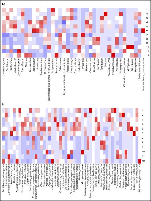 BF and SPF mice demonstrate a different gastrointestinal microbiome composition and priming with BF fecal matter restores TRALI-susceptibility in SPF mice. (A) Phylogenetic tree of BF mice, which are susceptible to TRALI (BF – TRALI); SPF mice, which do not suffer from TRALI (SPF – NO TRALI); and BF mice treated with antibiotics, which are also resistant to TRALI (BF – antibiotics NO TRALI). (B-C) Gastrointestinal bacterial heat maps and pie charts on family level, respectively. (D-E) Gastrointestinal bacterial heat maps on genus and species levels, respectively. (F-G) Data from BF fecal transfer into SPF mice: (A) lung W/D weight ratios, (B) pulmonary PMN numbers upon CD4+ T-cell depletion and anti-MHC class I antibody (clones 34-1-2s and AF6-88.5.5.3) infusion into indicated mouse groups. Heat map row numbers 1-3, BF mice upon arrival; 4-6, BF mice after 1 week of housing; 7-9, SPF mice upon arrival; and 10-12, SPF mice after 1 week of housing. (F-G) Analyzed by a 1-tailed unpaired Student t test and represent combinatorial data from 2 experiments. Each dot represents 1 mouse; error bars represent SD. *P < .05, **P < .01.