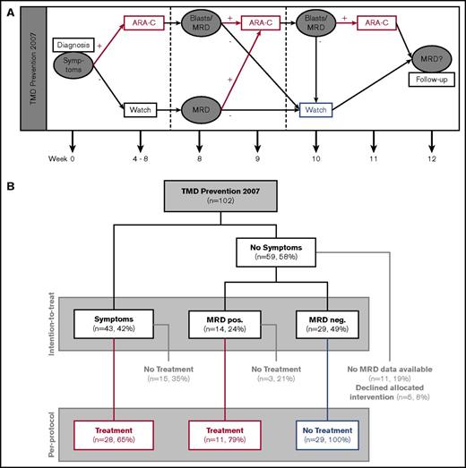 Figure 1. Overview of the TMD Prevention 2007 study. (A) Treatment plan of the TMD07 study. (B) Flowchart of patients enrolled in the TMD07 study.