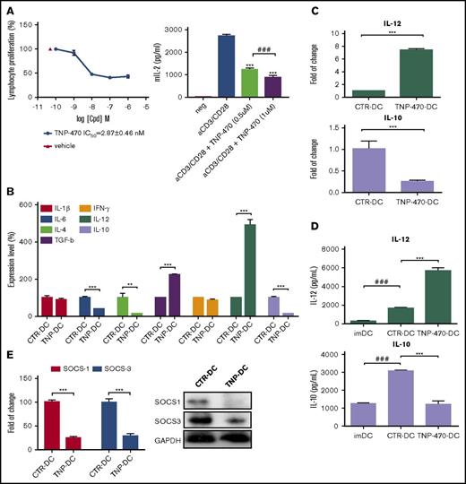 Figure 1. TNP-470 potentiates DC immunogenicity upon LPS stimulation in vitro. (A) In vitro inhibitory effects of TNP-470 on T lymphocytes. Lymphocytes were and CD28 with different concentrations of TNP-470 for 72 hours. 3H-Thymidine was added 16 hours prior to sample harvest. Proliferation of T lymphocytes was evaluated by the level of incorporated 3H-thymidine. Representative data from 3 independent studies are shown (left). Data presented as mean ± standard error of the mean (SEM; n = 3). IL-2 secretion from lymphocytes upon CD3/CD28 stimulation (right). Lymphocytes were stimulated with anti-mouse CD3e and CD28 in the presence of vehicle/TNP-470 (0.5 and 1 µM) for 24 hours. Culture supernatant was harvested and detected for IL-2 secretion. Data presented as mean ± SEM (n = 3) from 2 independent studies. ***P < .001 compared with vehicle. ###P < .001 TNP-470 (0.5 µM) vs TNP-470 (1 µM). BMDCs upon vehicle and TNP-470 treatment (5 nM) were stimulated with LPS (200 ng/mL) for 4 hours to evaluate cytokine mRNA expression and for 16 hours to evaluate cytokine secretion. (B) Cytokine secretion profile of TNP-470/vehicle-treated DCs upon LPS stimulation. **P < .01 and ***P < .001 TNP-470–treated DCs (TNP-DC) vs vehicle-treated DCs (CTR-DC). Data presented as mean ± SEM from 2 independent experiment. (C) Fold-of-change in expression of IL-12 and IL-10 from BMDCs, which were normalized with GAPDH. Data presented as mean ± SEM from 3 independent experiment. ***P < .001 TNP-470 DC vs CTR-DC. (D) Cytokine IL-12 and IL-10 secretion from culture supernatant. Data presented as mean ± SEM from 5 independent experiment. ***P < .001 TNP-DC vs CTR-DC; ###P < .001 imDC vs CTR-DC. (E) BMDCs was stimulated with LPS for 4 hours to evaluate gene expression levels (left) and 8 hours to examine protein levels (right) of SOCS1 and SOCS3. ***P < .001 TNP-DC vs CTR-DC. Data presented as mean ± SEM from 2 independent experiment.