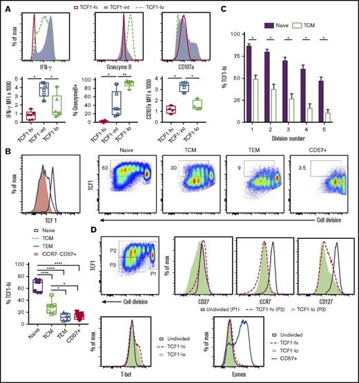 Figure 2. Self-renewal of TCF1-hi CD8+T cells. Distinct functional properties of TCF1 subsets. (A) Peripheral blood mononuclear cells stimulated with 12-O-tetradecanoylphorbol 13-acetate/ionomycin and analyzed for cytokine (IFN-γ) and cytolytic molecule (granzyme B) expression and degranulation (CD107a). *P < .05; **P < .01 (repeated-measures 1-way ANOVA with Sidak correction). (B) TCF1-hi cells self-renew following T-cell receptor (TCR) stimulation. The histogram on the left shows steady-state TCF1 expression by FACS-sorted CCR7+CD45RA+CD57− (naive), CCR7+CD45RA−CD57− (TCM), CCR7−CD45RA−CD57− (TEM), and CCR7−CD57+ populations. Data are representative of 5 separate donors. FACS-sorted naive, TCM, TEM, and CCR7−CD57+CD8+ T cells were TCR stimulated (right). Cell division vs TCF1 expression at day 4 is shown. Gate denotes TCF1-hi population. Quantification of TCF1-hi population frequency (bottom left). *P < .05; ****P < .0001 (1-way ANOVA with the Sidak multiple comparisons test). (C) Earlier loss of TCF1-hi cells from TCM following activation. Naive and TCM populations were sorted and stimulated as in panel B. Frequency of TCF1-hi cells was quantified on day 4 for naive and TCM starting populations at each division number. *P < .05 (Student t test with Holm-Sidak correction for multiple comparisons). (D) Stepwise differentiation of TCF1-hi and TCF1-lo populations following activation of naive CD8+ T cells. Gating of undivided (P1), TCF1-hi (P2), and TCF1-lo (P3) populations at day 4 of culture following TCR stimulation of naive cells (top left). The remaining panels show representative histograms of CD27, CCR7, CD127, T-bet, and Eomes expression by each population. Activated CD57+ cells were included as a positive control for Eomes induction. Plots are representative of 3 independent donors.