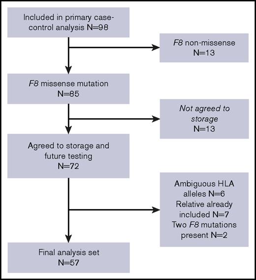 Figure 1. Flow diagram of subject inclusion.