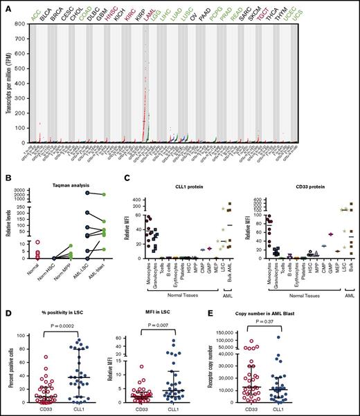 Figure 1. CLL1 expression in normal healthy tissues, AML, and LSC. (A) RNA levels of CLL1 in various tumor and normal tissues based on data from TCGA and GTEx. Red dots represent cancer samples, green dots are cancer-matched normal samples, and blue dots are normal samples from GTEx. (B) TaqMan analysis of CLL1 RNA levels from isolated LSC (blue circle) and blast population (green circle) of AML patient samples, from HSC (blue circle) and multipotent progenitor cells (green circle) of healthy bone marrow samples, and from various healthy organ tissues including brain, colon, heart, kidney, liver, lung, pancreas, skin, and stomach (red open circle). Lines connecting the 2 circles indicate samples isolated from the same patient. (C) FACS analysis of CLL1 and CD33 expression in various hematopoietic lineages from healthy donor and from AML patient samples. Relative MFI is determined by dividing the MFI of the CLL1 or CD33 antibody signal by the MFI of IgG control antibody. (D) FACS analysis of CLL1 and CD33 expression in LSC of 31 AML samples. Percent-positive cells and relative MFI was determined relative to IgG control staining of CD34+CD38− population in AML patient samples. (E) Estimated receptor copy number of CLL1 vs CD33 on AML patient samples. ACC, adrenocortical cancer; BLCA, bladder cancer; BRCA, breast cancer; CESC, cervical cancer; CHOL, cholangiocarcinoma; CMP, common myeloid progenitor; COAD, colorectal cancer; DLBC, diffused large B-cell lymphoma; GBM, glioblastoma; GMP, granulocyte-macrophage progenitor; HNSC, head and neck carcinoma; KICH/KIRC/KIRP, kidney cancers; LAML, acute myeloid leukemia (AML); LGG, brain glioma; LIHC, liver cancer; LUAD/LUSC, lung cancer; MEP, megakaryocyte-erythroid progenitor; MPP, multipotent progenitor; OV, ovarian cancer; PAAD, pancreatic cancer; PCPG, pheochromocytoma; PRAD, prostate cancer; READ, rectum cancer; SARC, sarcoma; SKCM, melanoma; TGCT, testicular tumor; THCA, thyroid cancer; UCEC, uterine/endometrial cancer; UCS, uterine cancer.