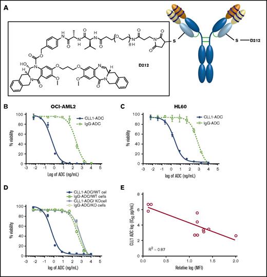 Figure 2. Functional characterization of CLL1-ADC. (A) A schematic of CLT030 (CLL1-ADC) including anti-CLL1 antibody, linker, and payload structures. Cytotoxicity activity of CLL1-ADC on (B) OCI-AML2, (C) HL60, and (D) OCI-AML5 cells or OCI-AML5 cells devoid of CLL1 expression (KO cells). CLL1-ADC in solid blue line, IgG-ADC in dotted green line on OCI-AML5 cells, CLL1-ADC on CLL1 KO cells in gray solid line, and IgG-ADC on CLL1 KO cells in dotted light green line. (E) Correlation plot of log of IC50 determine from CLL1-ADC cytotoxicity on AML cells as listed in Table 2 vs log of MFI of CLL1 antibody binding to the same listed cells.
