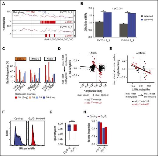 Figure 7. Analysis of differential methylation between alleles. (A) GenPlay genome browser view illustrating an a-DMR between parental alleles on chromosome 8. Tracks 1 and 3 illustrate smoothed average methylation levels for the paternal (blue) and maternal (red) alleles for the indicated individual; tracks 2 and 4 highlight the corresponding a-DMRs identified by DSS software as described in the “Methods” section. (B) A-DMRs are richer in heterozygous SNPs than the rest of the genome. Data were generated using SnpEff based on the previously published genome sequence of FNY01_3_2 and 3_3. The expected number of SNPs was calculated by shuffling the a-DMRs 10 000 times at random location in the genome where the coverage was similar to that of the a-DMRs. The average of ∼1 SNP/kb in the expected samples is very close to the average number of SNPs/kb genome-wide observed in these 2 individuals. (C) Bar graphs illustrating the replication timing of HMDs, short PMDs, and long PMDs in 3 cell types. Average replication timing was determined for 5-kb tiles genome-wide and separated into quartiles. The fractions of each domain in the respective quartile of replication timing are indicated. In BasoE, IMR90, and K562 cells, both HMDs and short PMDs replicated early, whereas long PMDs replicated late. (D) Scatter plots illustrating the correlation between timing of replication and DNA methylation in c-ARDs. x-axis: differential allelic replication timing ratio = maternal timing ratio − paternal timing ratio, with timing ratio being the sum of maternal or paternal TimEX read counts in S phase over the sum of maternal or paternal TimEX read counts in G1 phase, respectively, across individual regions; y-axis: differential allelic methylation = βmat − βpat with β = ratio of the sum of maternal or paternal methylated reads over the sum of maternal or paternal total read counts, respectively, across individual regions. Black dots, regression line and Pearson r2 for all c-ARDs; red dots, regression line and Pearson r2 for c-ARDs with an abs(Δ DNA methylation) >0.05. There is no correlation between timing of replication and DNA methylation in c-ARDs except for a subgroup of outlier c-ARDs (in red) that overlap with a-DMRs. (E) Scatter plots illustrating the correlation between timing of replication and DNA methylation in a-DMRs. X-axis: differential allelic methylation (as in panel D) across individual a-DMRs; y-axis: differential allelic replication timing ratio (as in panel D). All a-DMRs and c-ARDs plotted contained at least 300 informative reads for allele-specific measurement of DNA methylation or for timing of replication analysis. Black dots, regression line and Pearson r2 for a-DMRs with an abs(Δ DNA methylation) >0.05; red dots, regression line and Pearson r2 for a-DMRs with an abs(Δ DNA methylation) >0.1. There is a strong correlation between timing of replication and DNA methylation in the strong a-DMRs (red dots). (F) Histograms illustrating the DNA content as assayed by propidium iodide (PI) staining in p51R cells that were cycling or blocked in G0/G1 for 4 days by incubation in a culture medium containing 0.5% fetal bovine serum. The G0/G1 block is almost complete. (G) Box plot illustrating CpG methylation in G0/G1 and in cycling (control) cells. Cells blocked in G0/G1 are statistically significantly more methylated than the cycling cells (P < .001, Wilcoxon rank sum test). (H) Bar plots illustrating the proportion of PMDs and HMDs in G0/G1 and in cycling (control) cells. Cells blocked in G0/G1 contain fewer PMDs than cycling cells.