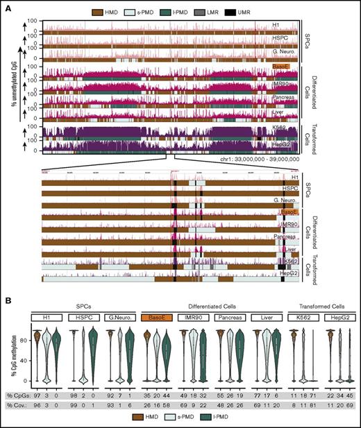Figure 1. Diversity of global methylation patterns in HSPC, differentiated, and transformed cells. (A) The percentage of unmethylated CpG dinucleotides is plotted for a typical region on chr1. Genplay screenshot of a 6-megabase region on chromosome 1 that illustrates the Methyl-Seq data and the segmentation of the methylome. The inset below the main panel represents the indicated 200-kb region at the center of the 6-megabase region to illustrate the fine structure of the UMRs and LMRs. The colored boxes below each track illustrate the cell-specific segmentation of the genome into HMDs, s-PMDs, l-PMDs, LMRs, and UMRs. The methylome of SPCs is composed mostly of HMDs and of small unmethylated regions (UMRs and LMRs) that correspond to regulatory elements. Methylomes of differentiated and transformed cells also contain HMDs, UMRs, and LMRs, but PMDs represent a large fraction of the genome of these cells. PMDs are ∼30% to 70% methylated in differentiated cells but are almost completely unmethylated in transformed cells. (B) Violin plots illustrating DNA methylation density in HMDs and PMDs. The percentages of CpGs and coverage (% Cov.) of the genome that are in HMDs, l-PMDs, and s-PMDs are indicated below the plots. SPCs are composed mostly of HMDs; differentiated cells contain variable amounts of HMDs and PMDs while transformed cells contain small amounts of HMDs.