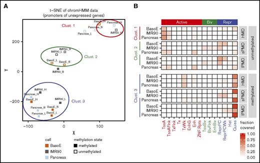 Figure 4. Transcriptionally inactive promoters are regulated by different mechanisms in HMDs and PMDs. (A) Graph illustrating t-SNE analysis of the chromatin status as determined by ChromHMM of silent IMR90, pancreas, and BasoE promoters, separated by their methylation status and their location in PMDs or HMDs. The t-SNE was used with default parameters and a perplexity of 4. Inactive promoters from BasoEs, IMR90, and pancreas were divided into 6 categories: methylated (open squares) and unmethylated (closed squares) located in either HMDs (H), s-PMDs (S), or l-PMDs (L). Multiple runs of t-SNE for all inactive promoters, as well as analyses using only the inactive CpG-rich promoters resulted in very similar clusters (not shown). Inactive promoters fell into 3 clusters: cluster 1 contained unmethylated promoters located in HMDs, cluster 2 contained unmethylated promoters located in short and long PMDs, and cluster 3 contained all methylated promoters (except for the IMR90 s-PMDs). (B) Heat map illustrating the chromatin status (based on ChromHMM) of promoters in clusters 1, 2, and 3. The fractions of promoter overlapping the indicated ChromHMM state are shown. Promoters in cluster 1 generally exhibited active chromatin marks, whereas those in cluster 2 exhibited repressive or bivalent marks, demonstrating that the mechanisms of silencing of unmethylated promoters in HMDs and PMDs are different. Promoters in cluster 3 were almost all quiescent regardless of their location in HMDs or PMDs.