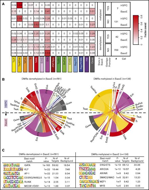 Figure 6. DNA methylation and chromatin changes during erythroid differentiation in DMRs. (A) Heat maps illustrating the changes in chromatin state of short DMRs within HMDs between HSPCs and BasoEs. Top and bottom panels show average fractional chromatin composition by sequence length of DMRs that are more or less methylated in BasoEs than in HSPCs, respectively. They are additionally broken down into DMRs that overlap promoters and those that do not. The numbers indicate the number of DMRs in each category. The 15 ChromHMM states are indicated below the heat map. Most notable changes include disappearance of the flanking active TSS (TssAFlnk) marks and increase of enhancer marks between HSPCs and BasoEs. (B) Circos plots illustrating the changes in chromatin state of DMRs that lose (left) or gain (right) methylation during differentiation from HSPCs (top half of the circle) to BasoEs (bottom half). The bands connecting the half-circles indicate the redistribution of DMRs from HSPCs into the indicated ChromHMM categories in BasoEs. The numbers indicate the number of DMRs in each category. Again, the most notable changes include the increase in the enhancer marks and reduction of quiescence marks upon demethylation of DMRs upon differentiation (left), and, conversely, the increase in quiescence marks and weak transcription and the decrease of chromatin marks associated with enhancers and transcriptional flanks upon gain of methylation in DMRs between HSPCs and BasoEs (left). (C) Top enriched sequence motifs in DMRs identified by Homer motif analysis. Best motif matches to the identified motifs shown as positional weight matrices (PWMs) are indicated, and enrichment parameters for each motif are shown. DMRs demethylated in BasoEs were enriched in erythropoietic transcription factors (right), whereas DMRs that gained methylation in BasoEs were enriched in genes associated with stem cells and lymphoid cells, consistent with lineage restriction-associated changes in enhancer methylation.