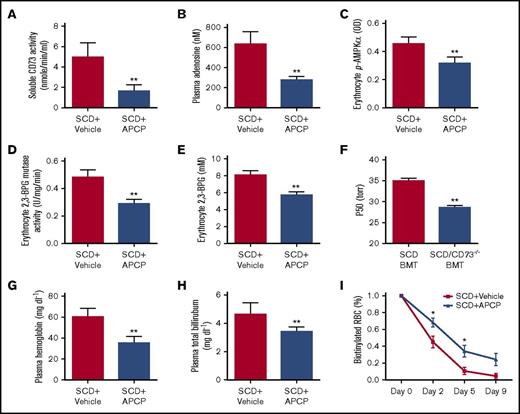Figure 5. APCP treatment decreases plasma CD73 activity, plasma adenosine level, erythrocyte phosphorylation of AMPK, erythrocyte 2,3-BPG mutase activity, and erythrocyte 2,3-BPG level. (A-B) Plasma CD73 activity and plasma adenosine level in SCD mice with or without APCP treatment. (C-F) Erythrocyte-phosphorylated AMPK level, 2,3-BPG mutase activity, 2,3-BPG concentrations, and P50 in SCD mice with or without APCP treatment. (G-I) Plasma hemoglobin, plasma total bilirubin, and erythrocyte lifespan in SCD mice with or without APCP treatment. Data are expressed as mean ± SEM. n = 5 for each group; *P < .05 vs SCD, Student t test.