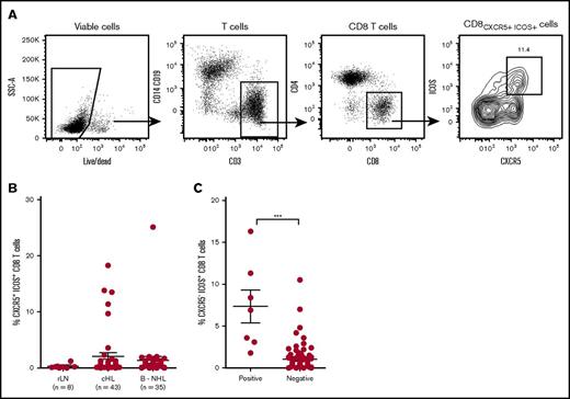 Figure 1. Identification of CD8CXCR5+ICOS+T cells in human lymphoma tissues. Frozen cells isolated from lymphoma biopsy samples were analyzed by flow cytometry. (A) Gating strategy to identify the CD8CXCR5+ICOS+ subset. CD8 T cells were identified from viable CD3 T cells (live/dead-negative CD14 CD19−CD3+), then CXCR5 and ICOS coexpression was defined among viable CD8 T cells. (B) Percentage of CD8CXCR5+ICOS+ cells among CD8 T cells in different lymphoma samples. (C) Percentage of CD8CXCR5−ICOS+ among CD8 T cells in cases containing CD8CXCR5+ICOS+ cells (positive subgroup), compared with cases lacking CD8CXCR5+ICOS+ cells (negative subgroup). ***P < .001.