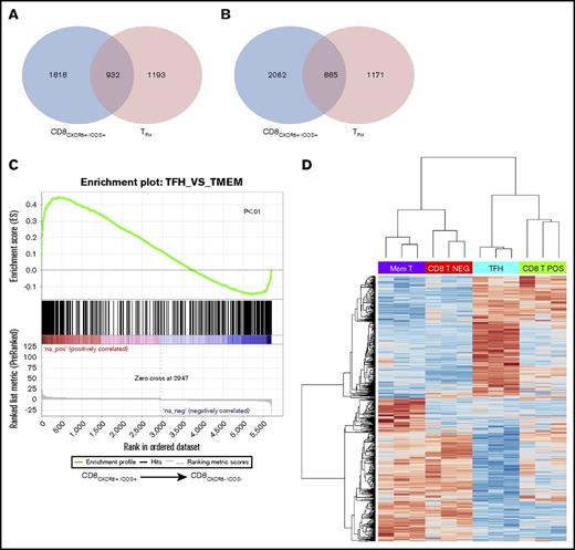 Figure 2. CD8CXCR5+ICOS+gene expression profile. (A) Venn diagram allowing the retrieval of shared downregulated genes between the CD8CXCR5+ICOS+ (blue) and TFH (red) signatures. (B) Venn diagram allowing the retrieval of shared upregulated genes between the CD8CXCR5+ICOS+ (blue) and TFH (red) signatures. (C) Gene set enrichment score curves for TFH signature in CD8CXCR5+ICOS+ and CD8CXCR5−ICOS− cell subsets. Vertical black lines indicate the position of genes included in the specific TFH signature. (D) Heatmap representation of the 406 most variably expressed genes of the TFH signature for memory CD4+ T cells (Mem T), TFH cells, CD8CXCR5+ICOS+ cells (CD8 T NEG), and CD8CXCR5+ICOS+ cells (CD8 T POS).
