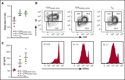 Figure 5. Functional effects of CD8CXCR5+ICOS+T cells. Cell Trace–labeled purified B cells from lymphoma tissues were activated by anti-BCR and CpG and cocultured with autologous sorted T cells in presence of PHA and IL-2 for 5 days (n = 3). (A) Proliferation of B cells evaluated by DI in each condition. (B) Representative dot plots and histograms for percentages of IgD+CD38−, IgD+CD38+, and IgD−CD38+/− cells among viable B cells (top) and proliferation rate of IgD−CD38+/− B cells (bottom) after 5 days of coculture in each condition. (C) IgG production measured in supernatant at day 5 by ELISA. A 1-way ANOVA statistic test was done.
