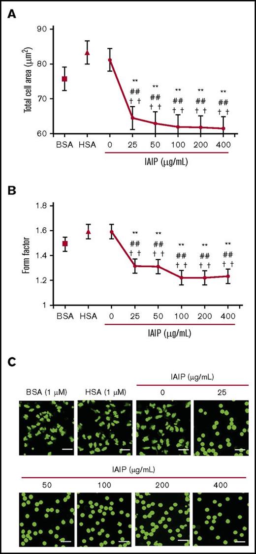 Figure 1. Spherical shape-inducing effects of IAIPs on purified human neutrophils. The neutrophils were incubated with HSA (1 μM), BSA (1 μM), or IAIPs (0-400 μg/mL) for 1 hour and the neutrophil shape was observed under a fluorescence microscope. (A-B) The rounding and size of neutrophils were analyzed by the In Cell Analyzer 2000. Total cell area (A) (µm2) and form factor (B) were determined. The results shown are the means ± SEM of 7 experiments. **P < .001 vs 0 μg/mL of IAIPs; ##P < .001 vs HSA and ††P < .001 vs BSA. (C) Typical picture of fluorescence staining from each group is shown (calcein stain; scale bars, 20 μm).