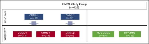 Figure 1. Distribution of CMML patients across categories in the 2008 and 2017 WHO classification schemes.