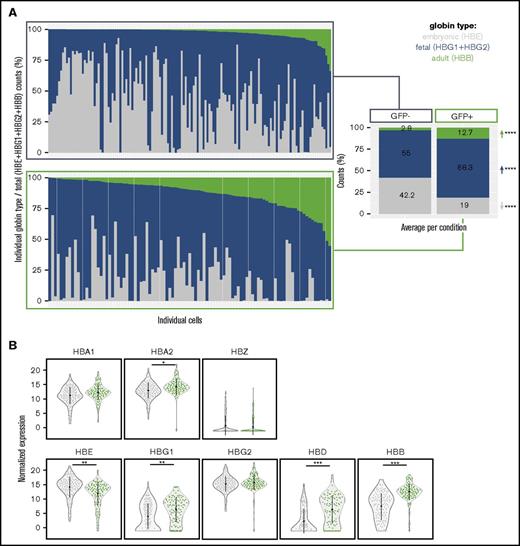 Figure 5. Globin expression in day-29 hiPSC-derived erythroid cells. (A) Coexpression of globin genes (HBE, HBG1, HBG2, HBB) in individual cells visualized as the percentage of transcripts from the individual globin type vs total β-globin gene cluster transcripts (HBE + HBG1 + HBG2 + HBB). Average percentages per globin type are shown on the right for the GFP− and GFP+ fractions. A 2-tailed t test was performed to determine significant differences between GFP− and GFP+ fractions. (B) Violin plots showing normalized expression of globin genes in the GFP−– (gray) vs GFP+–sorted (green) fraction of day-29 hiPSC-derived erythroid cells. *FDR ≤ 0.05, **FDR ≤ 0.005, ***FDR ≤ 0.0005, ****P ≤ .001.
