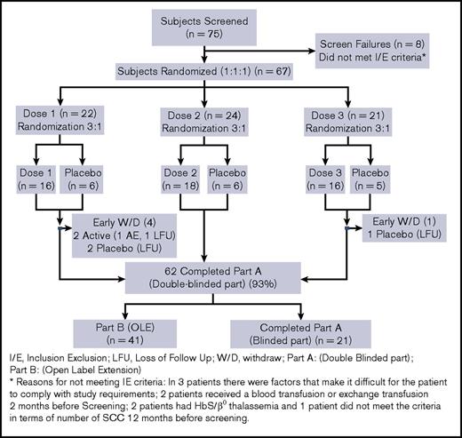 Figure 1. Flowchart of patient enrollment, randomization assignments and follow-up.
