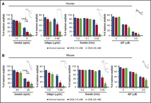 Figure 1. DCA inhibits agonist-induced platelet aggregation. PRP or washed platelets from human (A) and mouse (B) were stimulated with suboptimal doses of convulxin, collagen, ADP, and thrombin. Results are expressed as the percentage change in light transmission concerning the blank (platelet-poor plasma/buffer without platelets), set at 100%. The upper panel in each bar graph denotes the representative aggregation curves (blue, control; black, 10 mM DCA; red, 25 mM DCA). For mouse studies, PRP or washed platelets were pooled from 3 to 4 mice (n = 5 individual experiments per group). For human studies, PRP or washed platelets are from the individual donors (n = 5 per group). Values are mean ± SEM. *P < .05 vs control (vehicle).