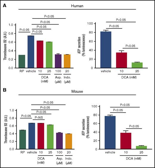 Figure 4. DCA inhibits TXB2 A2 production and ATP secretion in platelet response to collagen. The level of TXB2 A2 generation was measured in human (A, left) and mouse (B, left) RP and in platelet response to suboptimal dose of collagen (0.46 μg). PRP samples were preincubated in the presence or absence of DCA (10 and 25 mM), aspirin (100 μM), and indomethacin (20 μM). The aggregation was performed for 3 minutes, and the reaction was stopped by quickly freezing the sample in a dry ice–methanol bath. Samples were prepared, and the level of TXA2 was measured with an enzyme-linked immunosorbent assay kit. ATP secretion was measured by luciferase/luciferin-based reaction. Luminescence generated by secreted ATP from human (A, right) and mouse (B, right) platelets were monitored using a Lumi-aggregometer. Asp., aspirin; Ind., indomethacine; NS, nonsignificant.