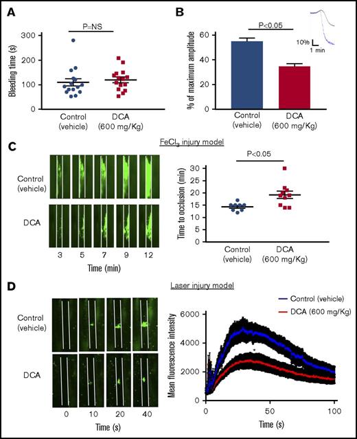 Figure 7. DCA inhibits experimental arterial thrombosis without altering tail bleeding time. (A) The tail-transection bleeding time was determined as the time taken for the initial cessation of bleeding after transection in vehicle or DCA-treated group. Each symbol represents a single mouse. Horizontal bar shows the mean of each group ± SEM, n = 15 per group. (B) Aggregation induced by collagen (0.5 µg/mL) in PRP from mice treated with DCA or vehicle. Upper panel denotes the representative aggregation curves (blue, vehicle; black, DCA). Values are represented as mean ± SEM, with n = 4 mice per group. (C) The left panel shows representative microphotographs (4× objective), and right panel shows time to occlusive thrombus in the FeCl3-induced carotid artery injury model. Each symbol represents a single mouse. Horizontal bars show the mean of each group ± SEM, with n = 8 to 10 per group. (D) The left panel shows representative microphotographs (10× objective), and right panel shows time mean fluorescence intensity in the laser-induced mesentery artery injury model. N = 10 to 12 vessels from 4 mice per group. *P < .05 compared with vehicle control. Platelets were labeled with calcein green. White line delineates vessel.