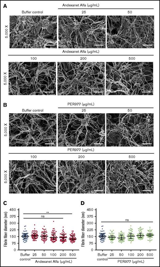 Figure 2. Antidotes alone do not influence blood clot morphology. Blood clots were generated by incubating antidotes in noncitrated whole blood at 37°C. (A-B) Blood clots formed in the presence of both andexanet alfa and PER977 did not show any major morphological changes. Clot images were taken at 2 magnifications (original magnification ×2500 and ×5000, respectively. Only images from the ×5000 magnification are depicted (scale bars, 5 µm). (C-D) Blood clot fiber diameters formed in the presence of andexanet alfa or PER977. Fiber diameter was measured from scanning electron micrographs using ImageJ software. A total of 60 fibers were analyzed from 2 independent experiments. Fibers for size analysis were selected from 4 images by probing 4 different spots in each image. Data are median with interquartile ranges (n = 60). Black horizontal lines represent median, and error bars represent interquartile range. Statistical significance for fiber diameter was determined by comparing the antidote-treated group to the buffer control using a Kruskal-Wallis test followed by a Dunn post-test. Asterisks indicate significant differences in comparison with the buffer control. Fibers formed in the presence of 500 µg/mL andexanet alfa are significantly thinner than those in the control clot (**P < .005). ns, not significant.