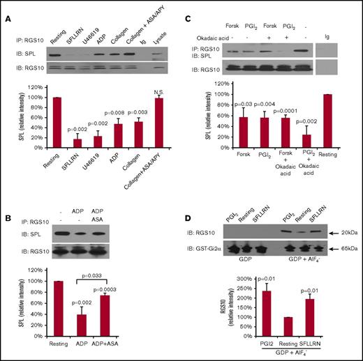 Figure 5. Release of RGS10 from binding sites on spinophilin leads to a rise in free RGS10 levels in platelets incubated with agonists or PGI2. (A) Human platelets were incubated for 3 minutes with a PAR1 agonist peptide (SFLLRN 50 µM), a TxA2 mimetic (U46619 10 µM), ADP (10 µM), or collagen (10 µg/mL) in the absence or presence of 100 μM aspirin (ASA) and 1 U/mL apyrase (APY), as indicated. Lysates were precipitated with anti-RGS10 and probed for spinophilin before reprobing with anti-RGS10 (data are mean ± SEM, N = 3). (B) Human platelets were incubated for 3 minutes with ADP (10 µM) in the absence or presence of 100 μM aspirin (ASA). Lysates were precipitated with anti-RGS10 and probed for spinophilin (SPL) before reprobing with anti-RGS10 (data are mean ± SEM, N = 4). (C) Human platelets were incubated with 20 µM forskolin (Forsk) or 15 µM PGI2, with or without 1 µM okadaic acid, as indicated. Proteins were precipitated with anti-RGS10 or nonimmune immunoglobulin (Ig) and then probed with anti-spinophilin before reprobing with anti-RGS10 (data mean ± SEM, N = 4). P values are relative to resting platelets. (D) Lysates were prepared from resting platelets and from platelets incubated with PGI2 (15 µM) or the PAR1 agonist peptide SFLLRN (50 µM). The lysates were then incubated with GST-Gi2α coupled to glutathione beads in the presence of GDP plus AlF4− or GDP alone, as indicated. Bound proteins were subjected to electrophoresis and probed with anti-RGS10 and Gi2α antibodies to detect RGS10 and GST–Gi2α fusion protein, respectively (upper panels). Summary of 3 experiments expressed as the percentage of the result obtained with resting platelets (data are mean ± SEM) (lower panel). P values are relative to resting platelets.