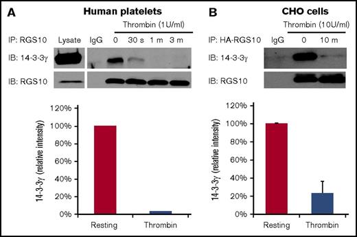 Figure 6. Dissociation of RGS10 from binding sites on 14-3-3γ during platelet activation. (A) Lysates were prepared from human platelets stimulated with 1 U/mL thrombin, after which 14-3-3γ was precipitated with anti-RGS10 antibody or nonimmune immunoglobulin (Ig) and probed with anti–14-3-3γ before reprobing with anti-RGS10 antibody. The bar graph summarizes results from 2 experiments. (B) Lysates were prepared from CHO cells transfected with HA-tagged RGS10 and Myc-tagged 14-3-3γ. Proteins were precipitated with an anti-HA antibody or nonimmune Ig and probed for Myc–14-3-3γ before reprobing with anti-RGS10 antibody (data are mean ± SEM, N = 3).