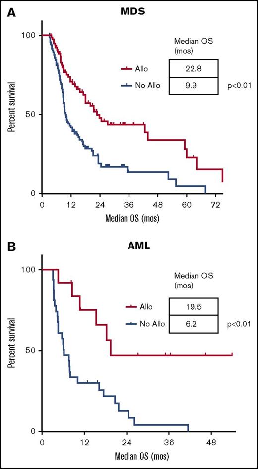 Figure 2. Landmark analysis of OS for patients undergoing allogeneic stem cell transplantation vs no transplantation. In MDS (A) and AML (B). Survival is expressed in months after induction. The landmark analysis was set 3 months after induction. Each tick mark represents a censored patient. (A-B) Significantly longer median survival for patients with MDS and AML treated with allogeneic transplantation when compared with those not undergoing transplantation. Allo, allogeneic transplantation.